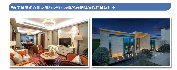 半年业绩9.png