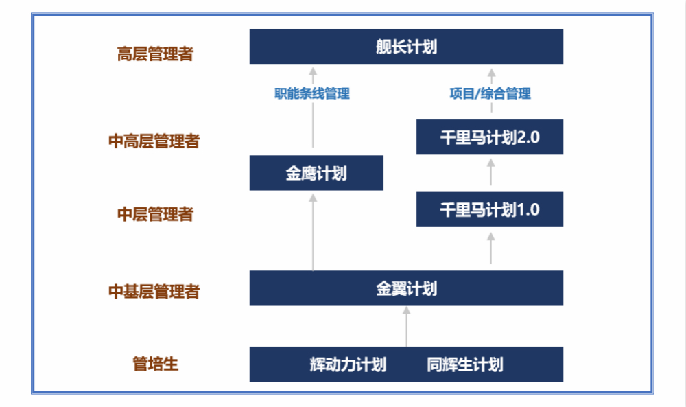 金辉人才发展项目体系