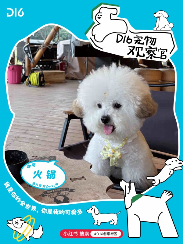 图片 21.JPG
